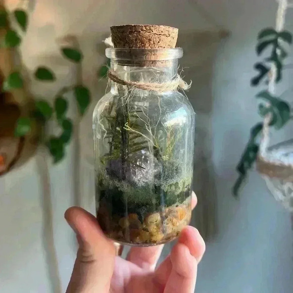 Mini Moss Terrarium with Amethyst Crystal enchanted fairy Cottagecore Witchy - Picture 4 of 6